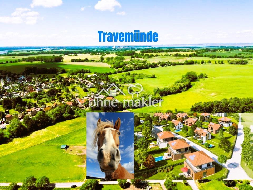 Ostsee-Traumlage – Ihr Baugrundstück wartet, 23942 Dassow