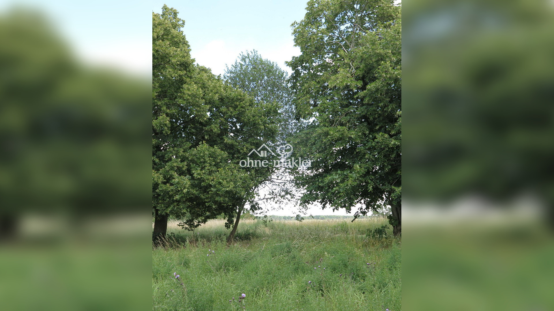 Bild 59