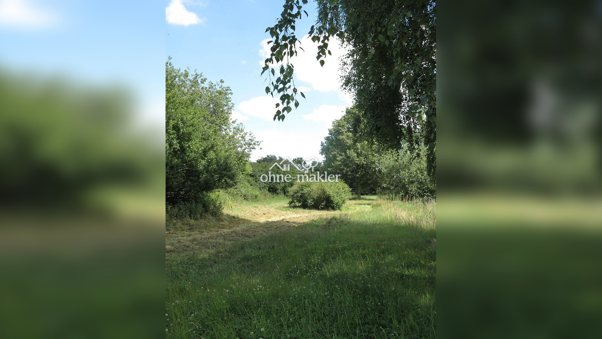 Bild 66