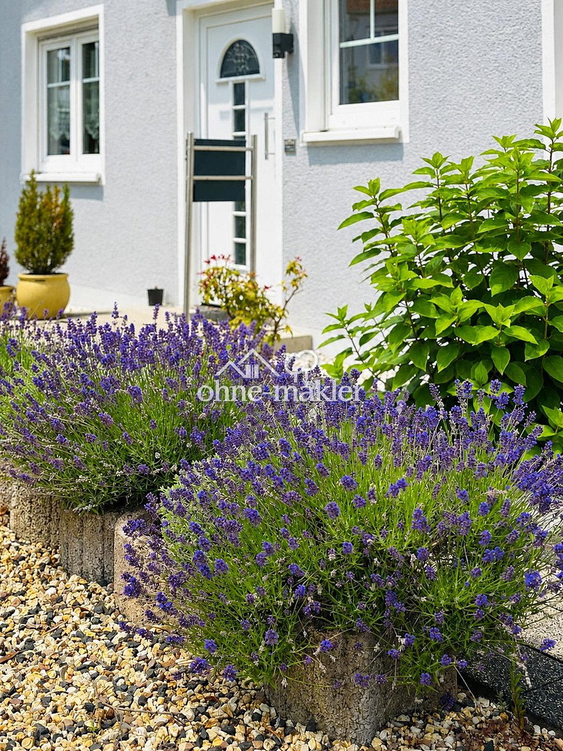 Großzügiges Haus mit Wintergarten in Bad Vilbel, 61118 Bad Vilbel