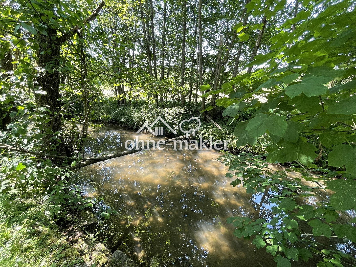 Bild 17