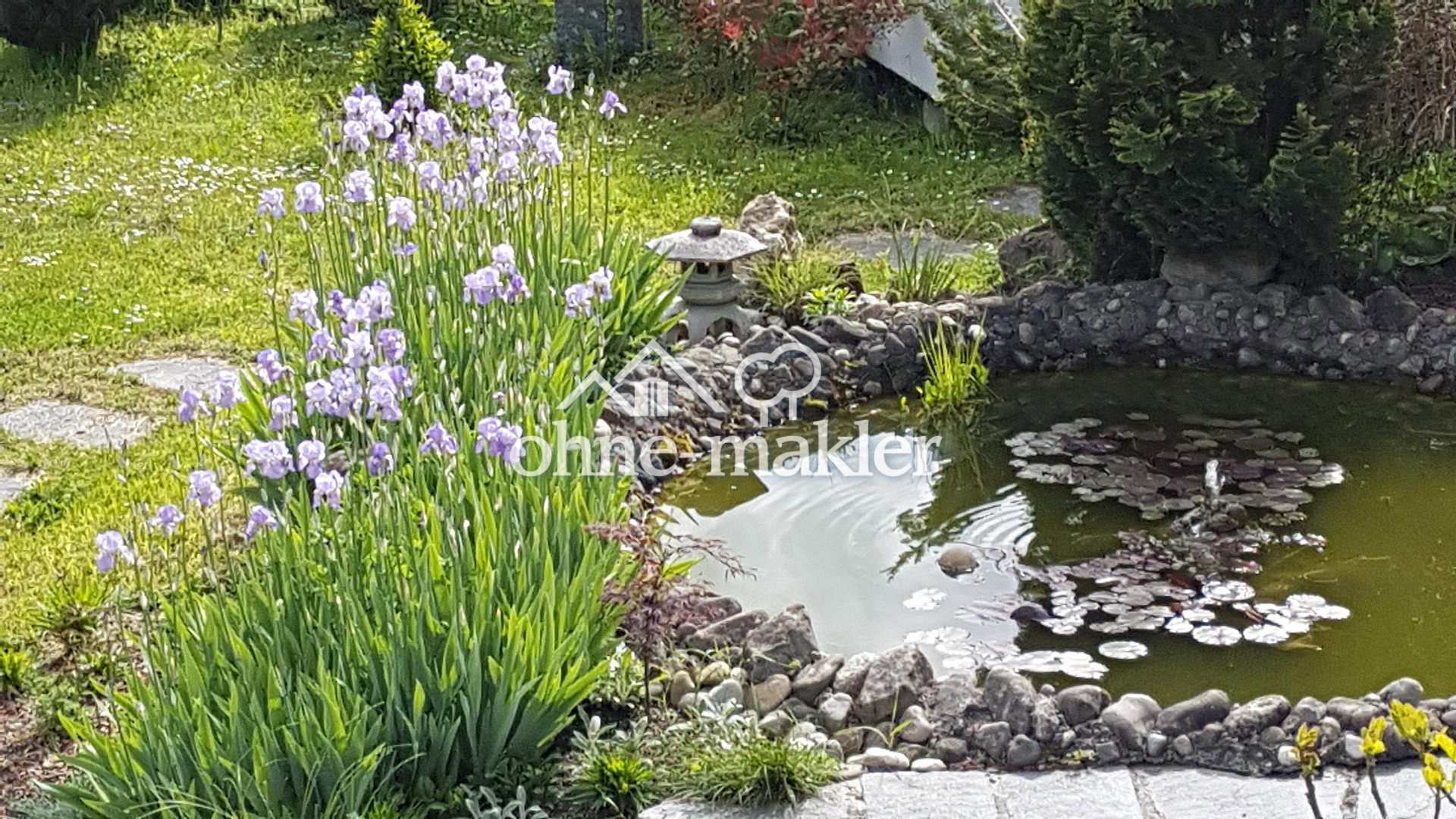 Bild 12