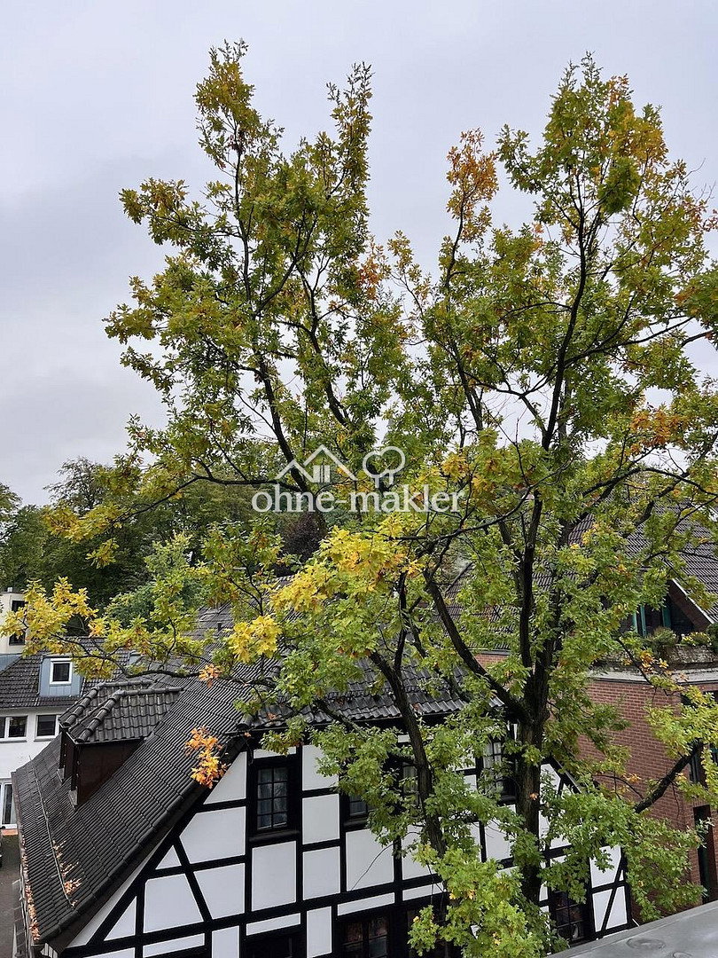 Siegburg-Zentrum Dachgeschoss mit Blick & Terrasse, 53721 Siegburg