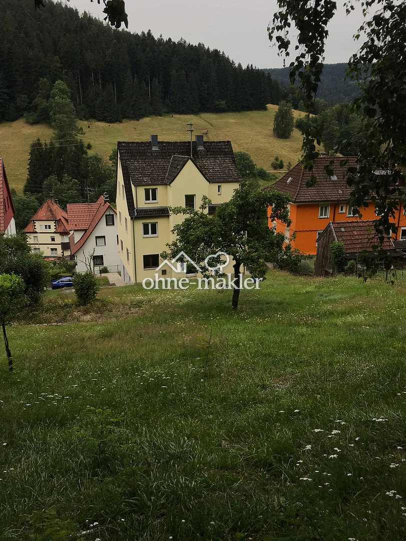 Schramberg 3 Zimmer mit Garten & Blick, 78713 Schramberg