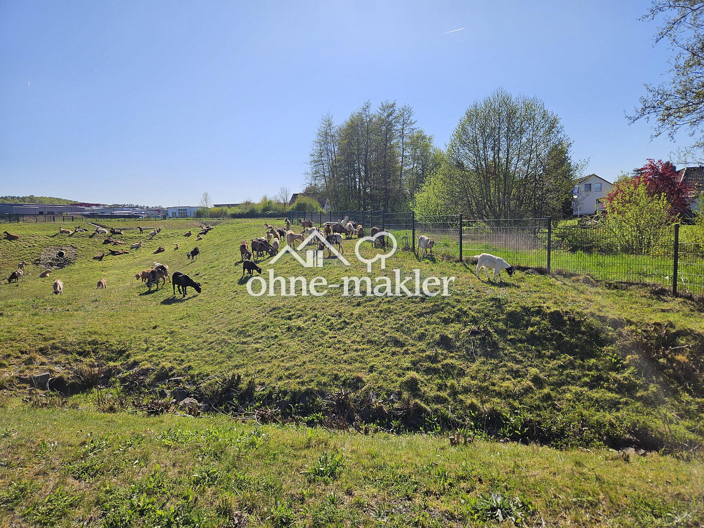 Bild 16