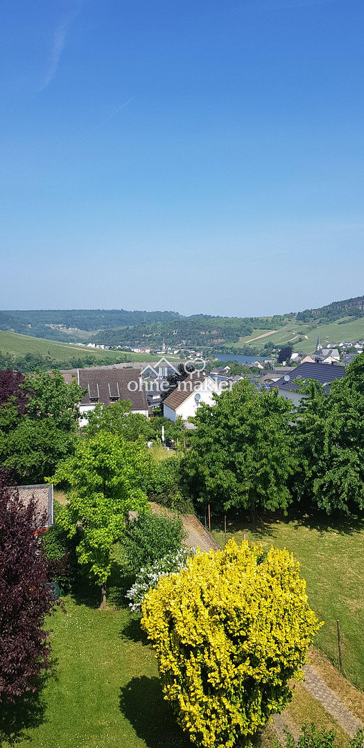 Weinbergblick & Grenznähe - Ihr Traumhaus, 54453 Nittel
