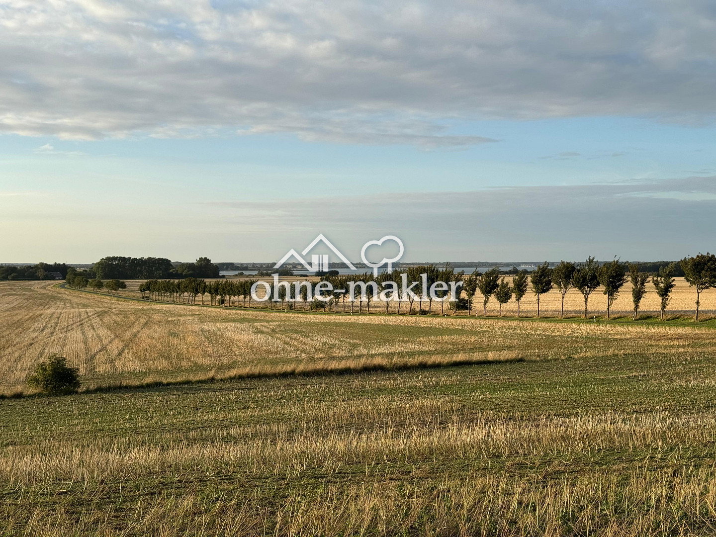 Bild 61