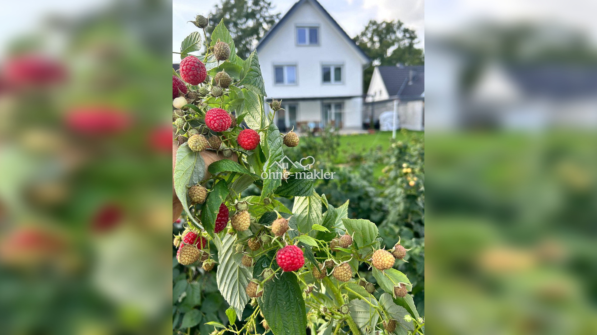 Bild 17