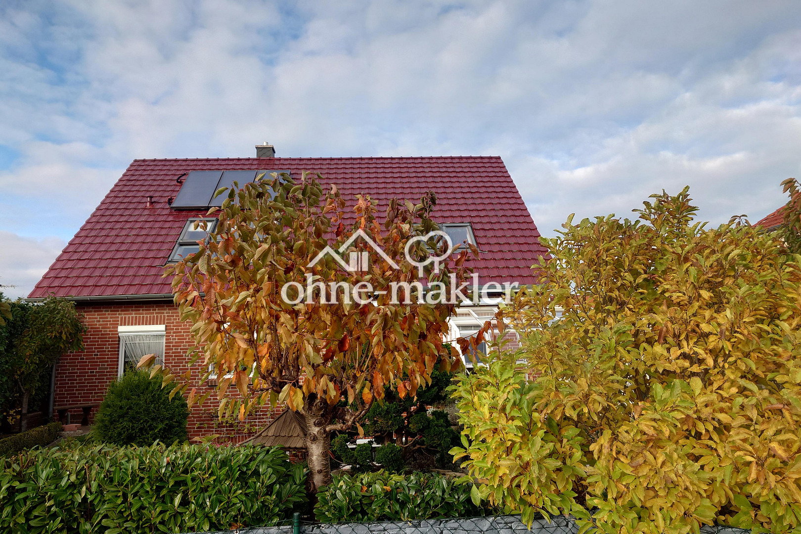 Bild 12