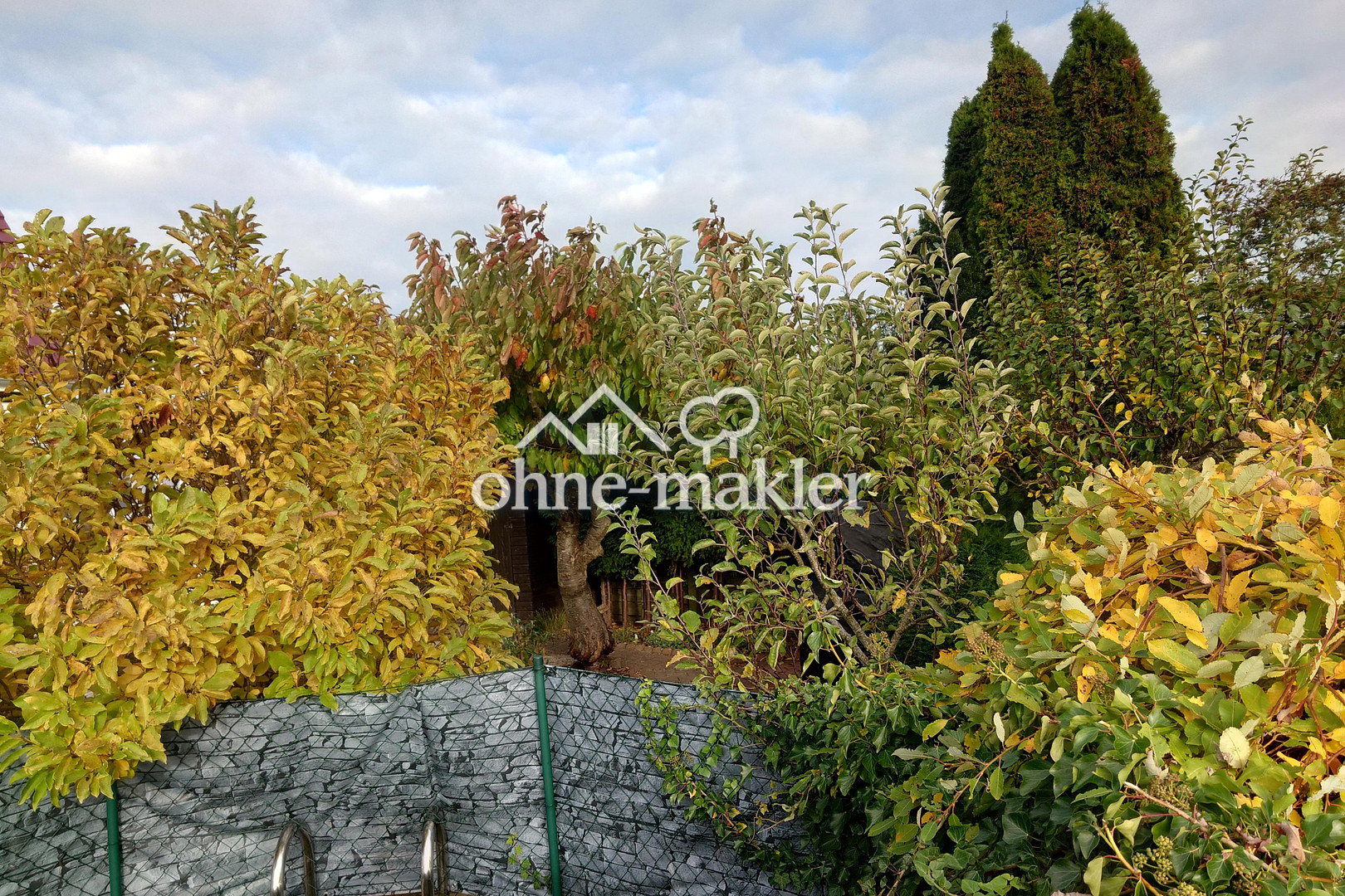 Bild 15