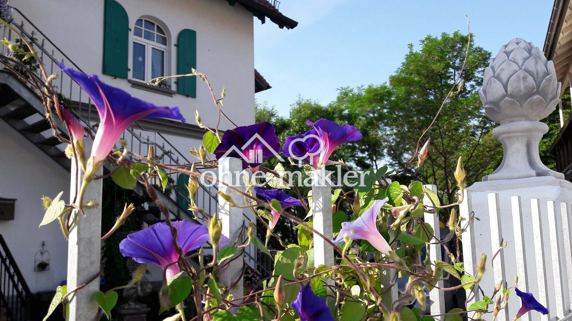 Bild 19