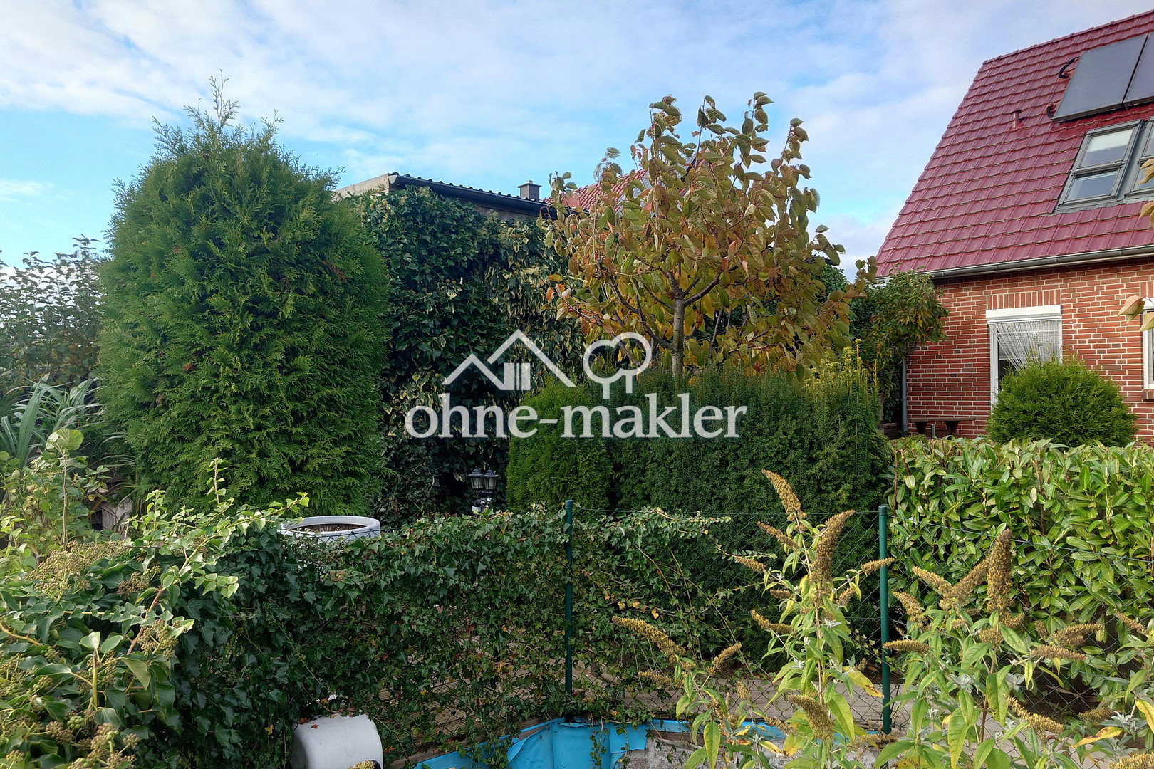 Bild 19