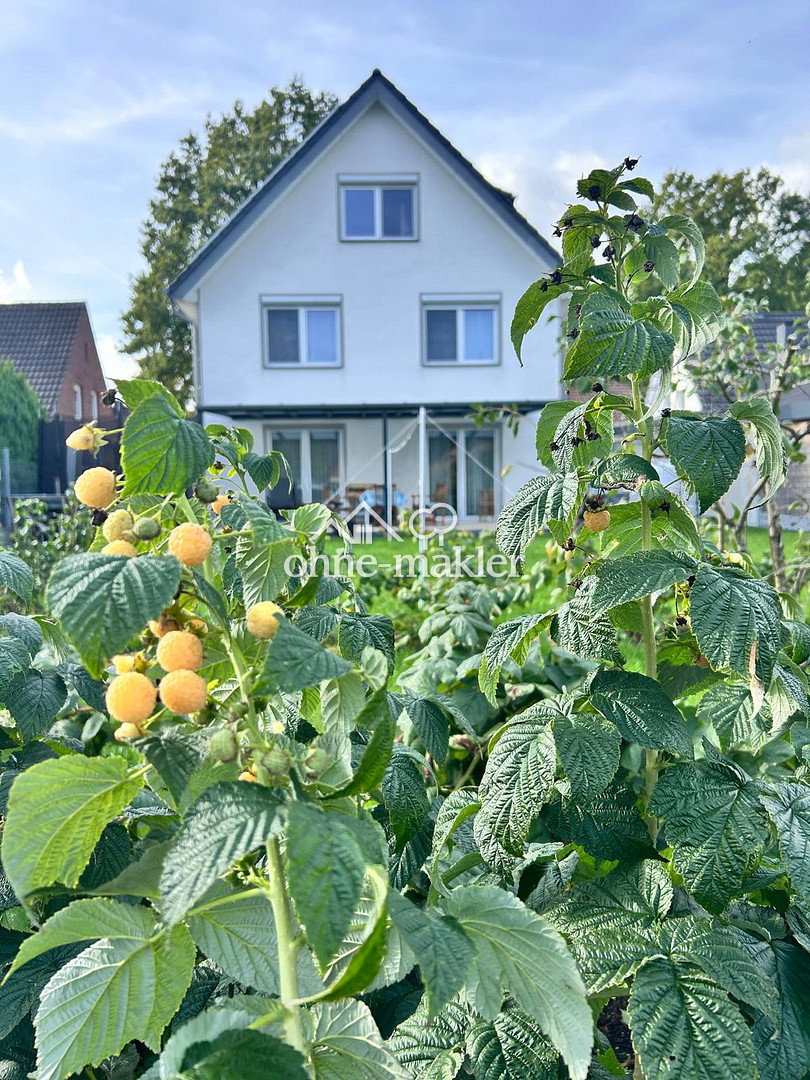 Dein Traumhaus in Rheine – ruhige Lage, 48432 Rheine