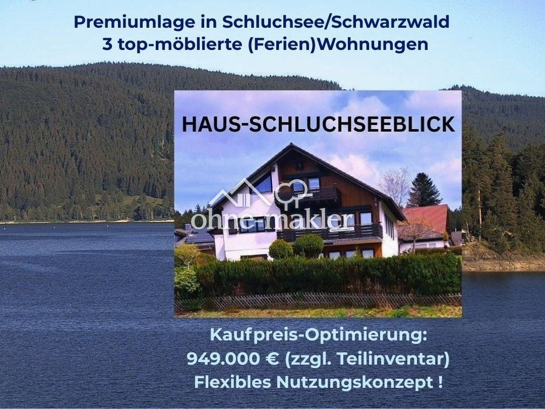 Schluchsee-Traum mit Seeblick & 3 Fewos, 79859 Schluchsee