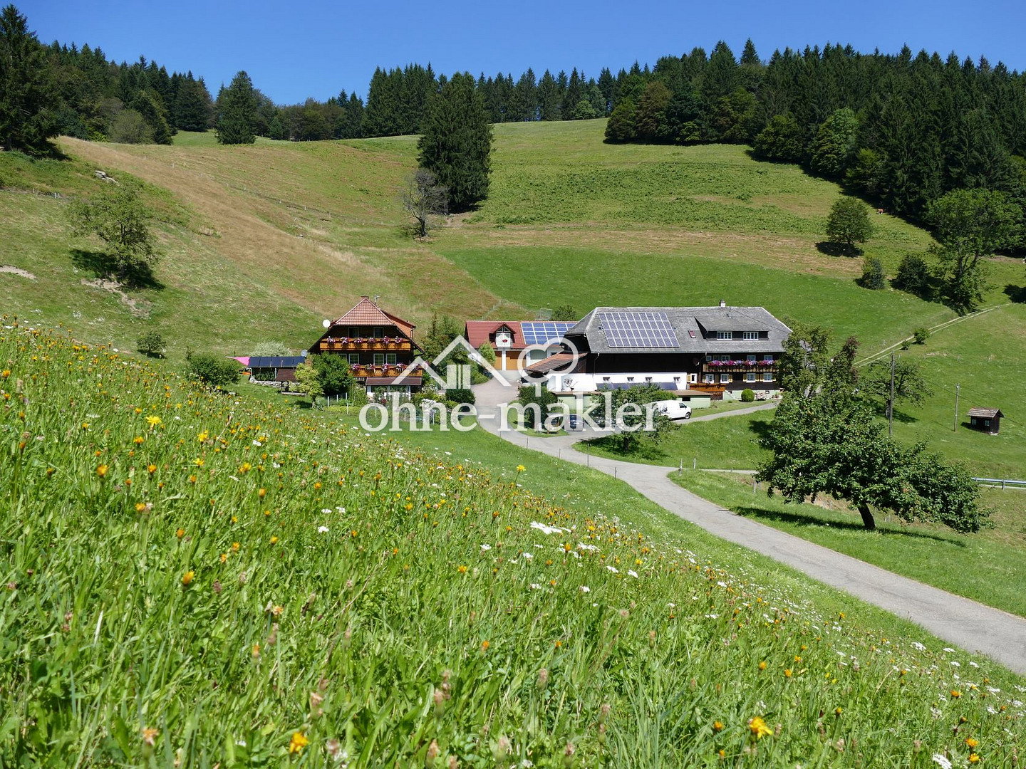 Schwarzwaldtraum mit Talblick & 2 Wohnungen, 79244 Münstertal/Schwarzwald