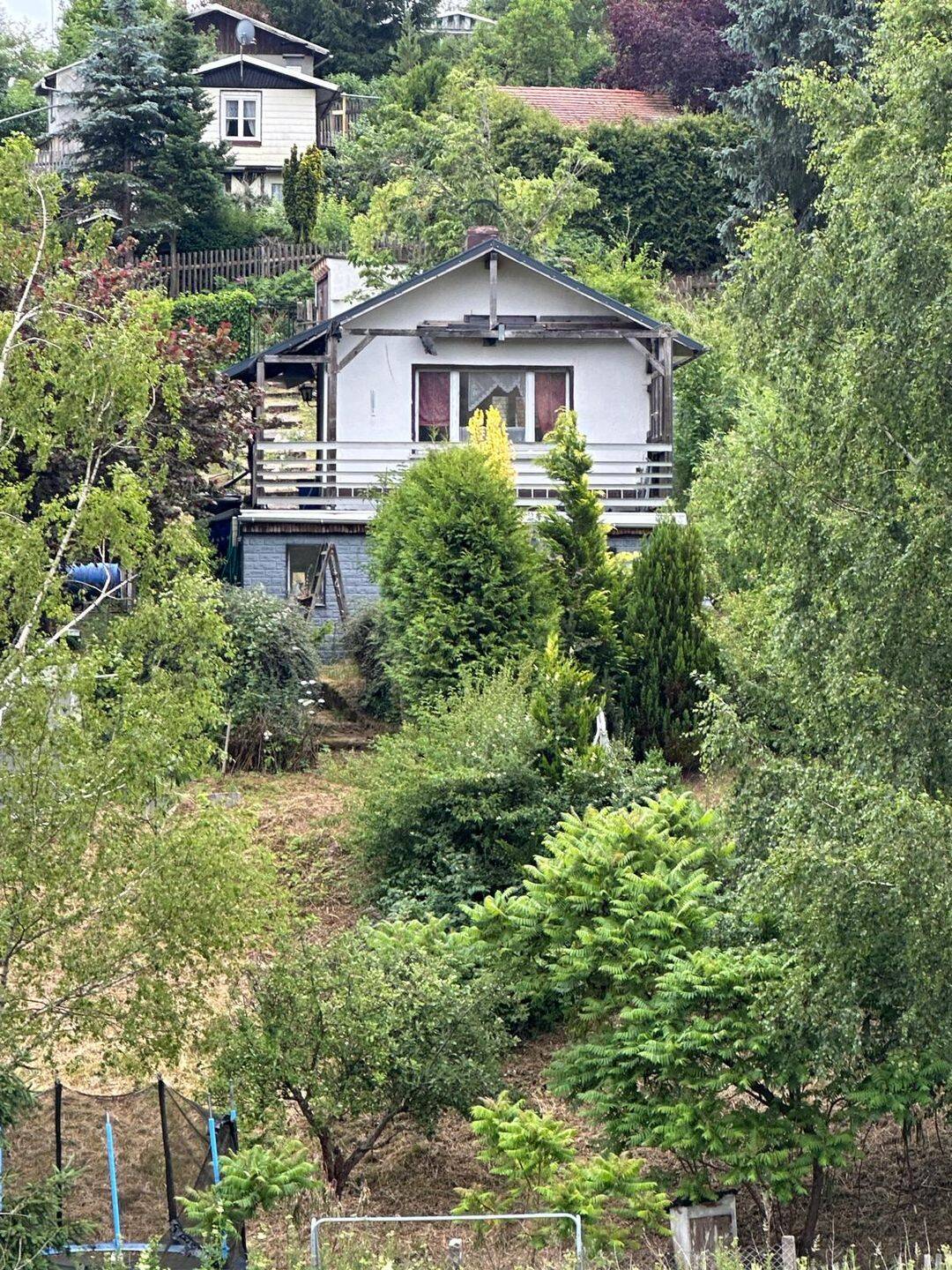 image-65137679