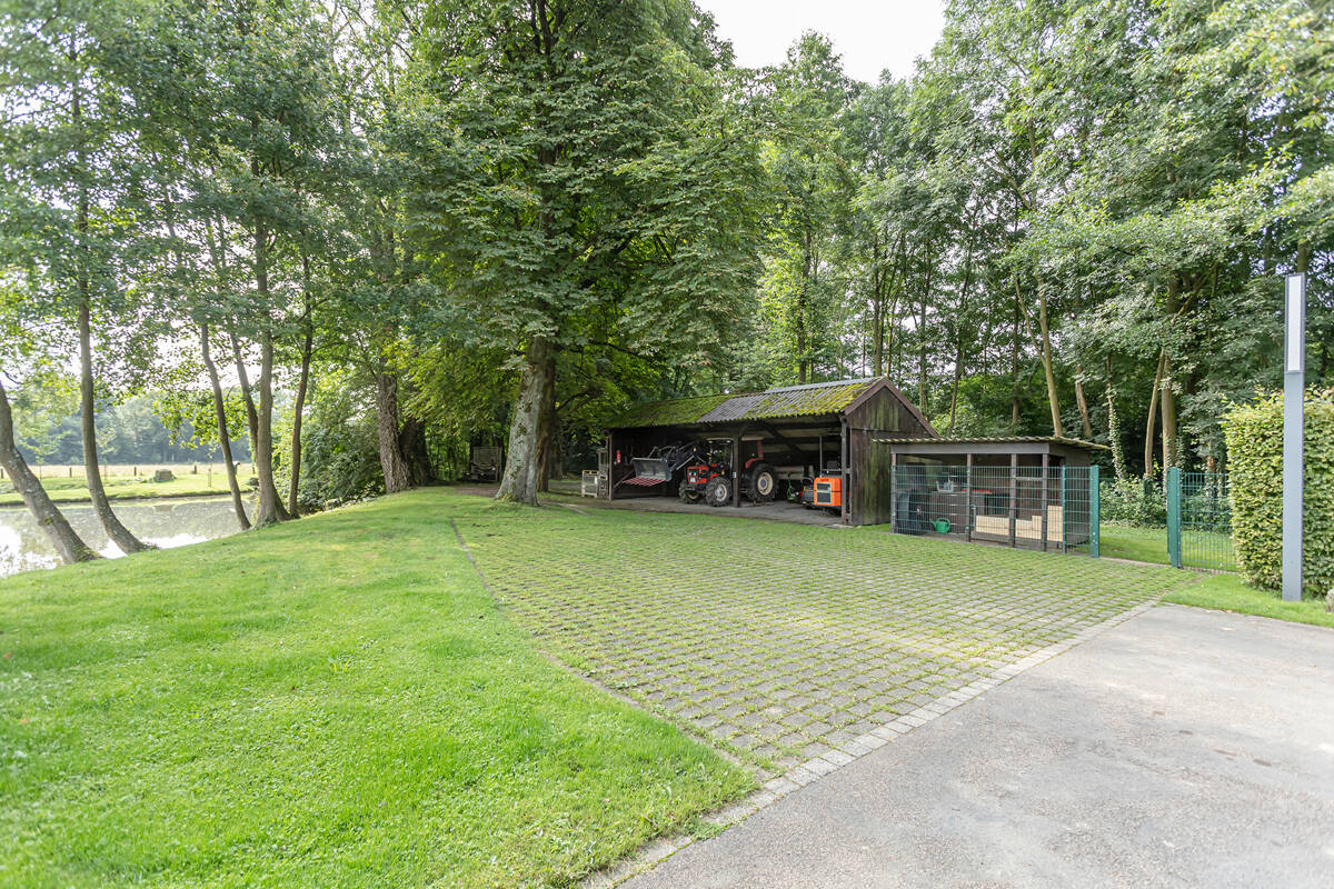 Bild 8