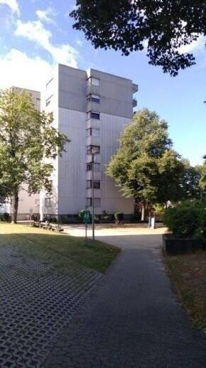 image-65146466