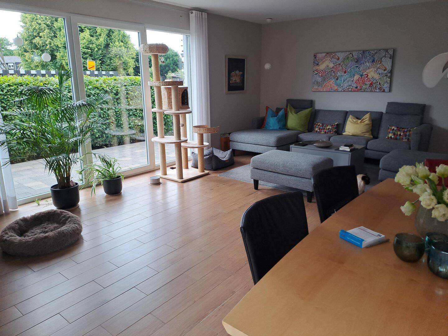 Bild 4