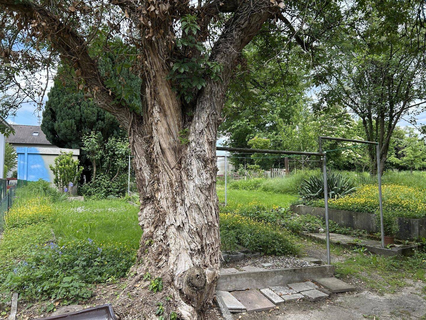 image-65156209