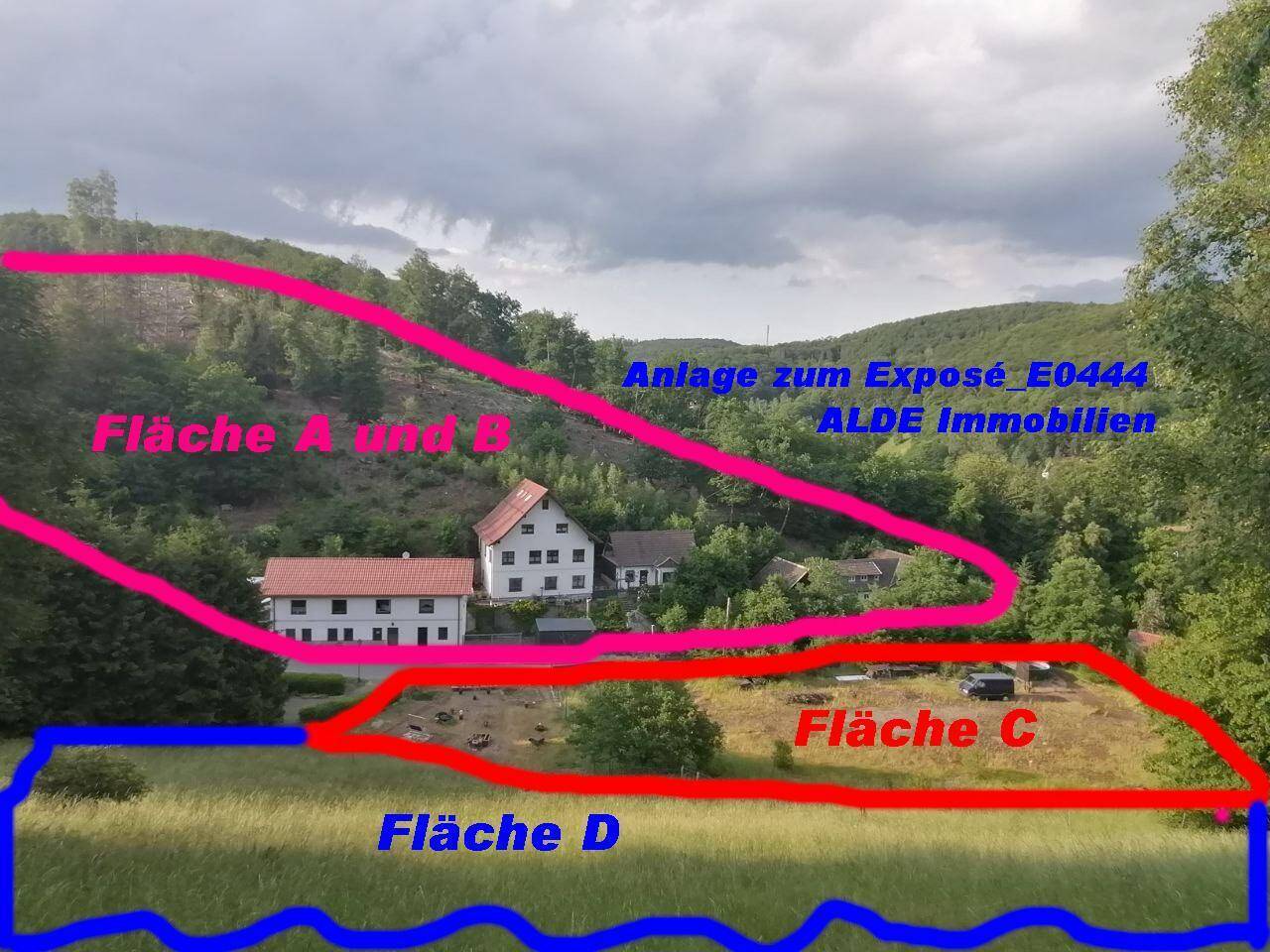 image-63028604