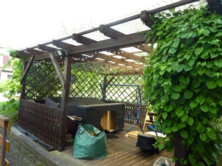 Bild 7