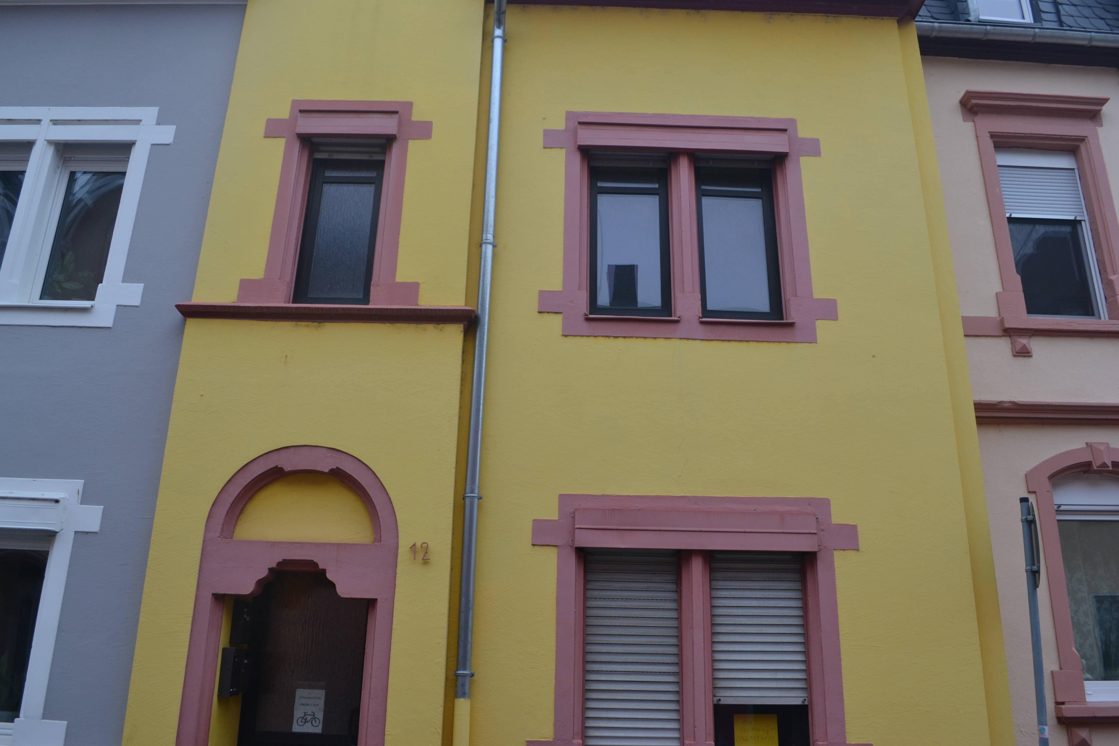 image-65278552