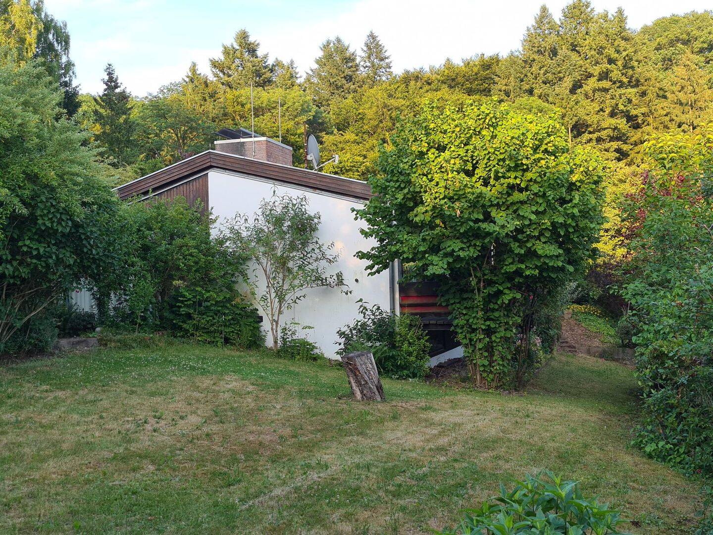 image-65282680