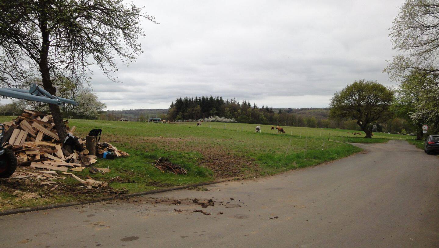 Bild 8