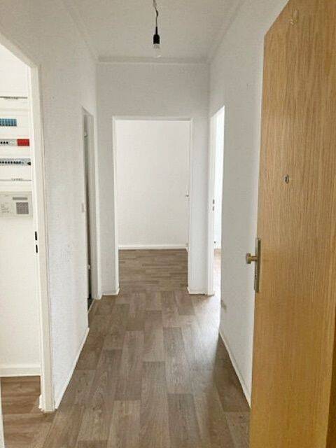 image-65291799