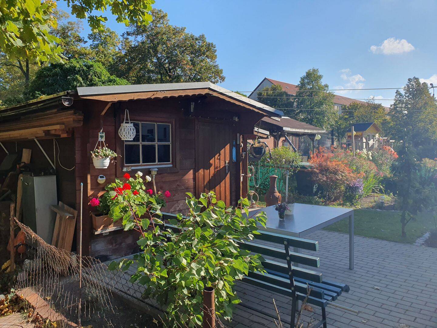 Bild 5