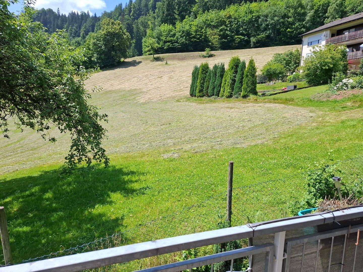 Bild 7