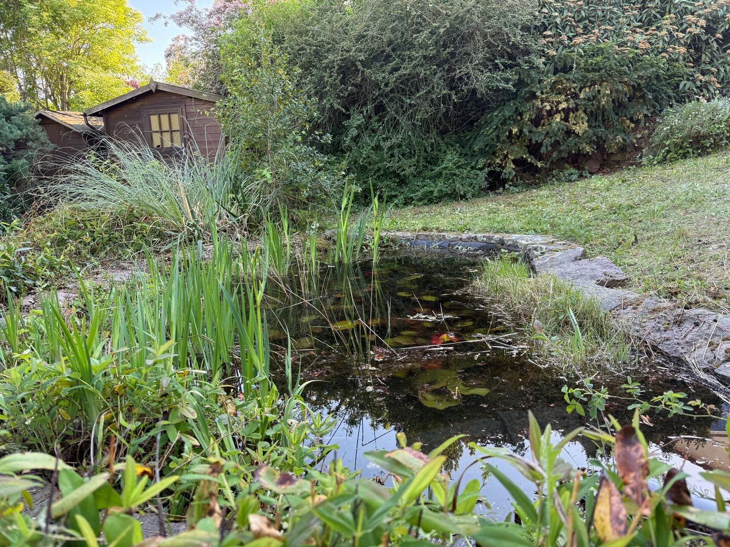 Bild 5