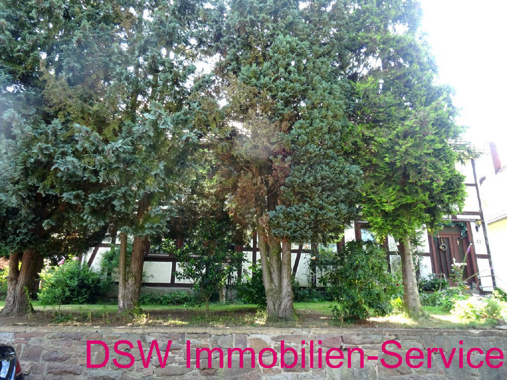 image-65329367