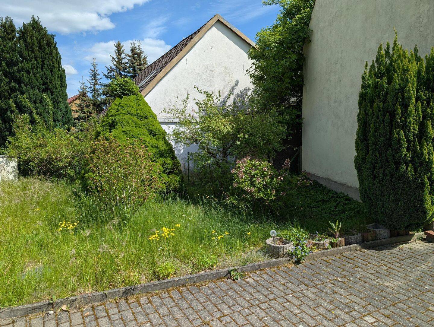 image-63202415