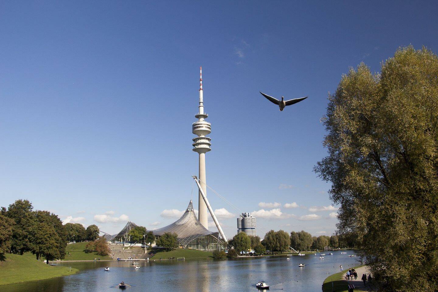 Bild 4
