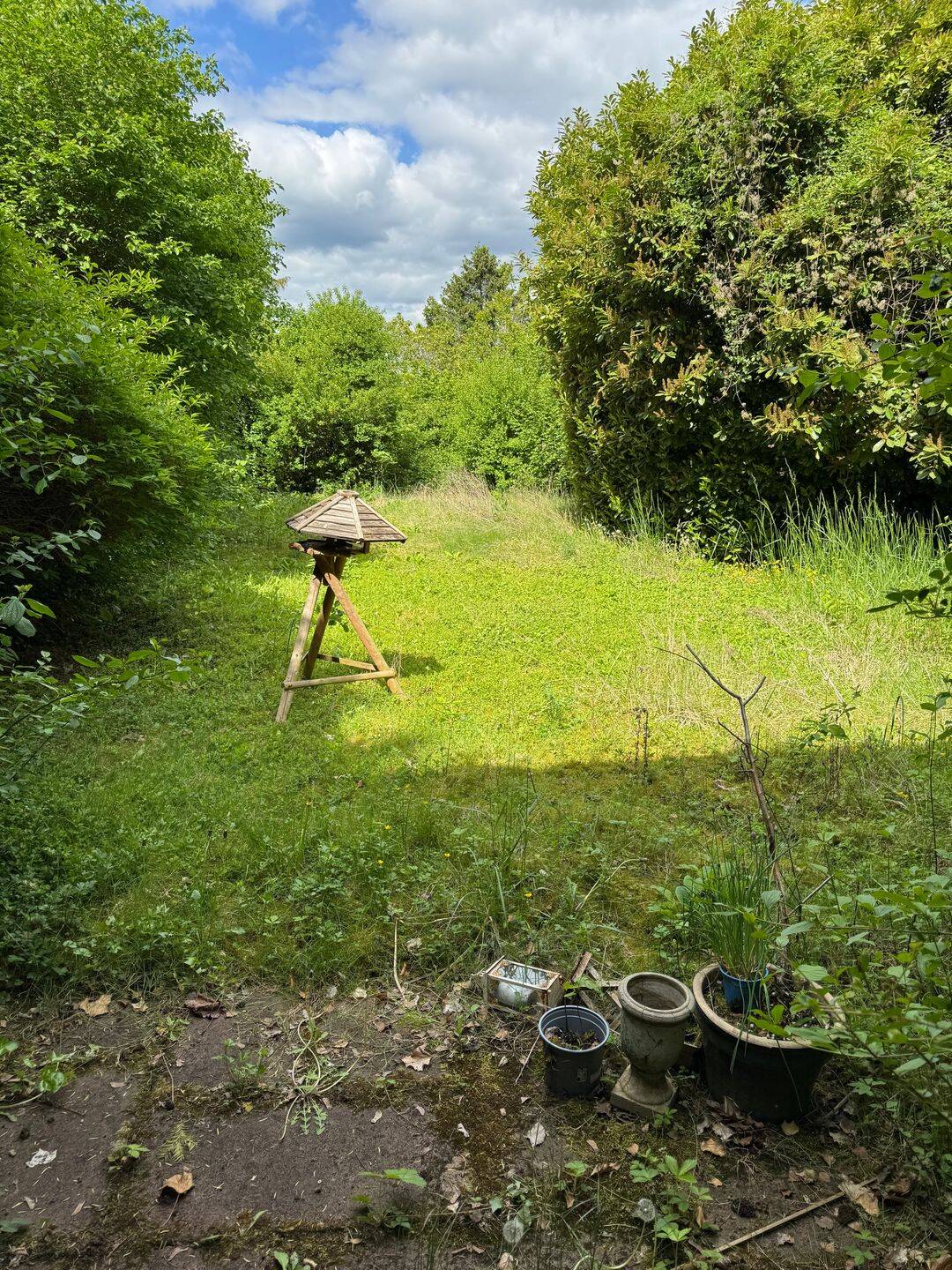image-63248955