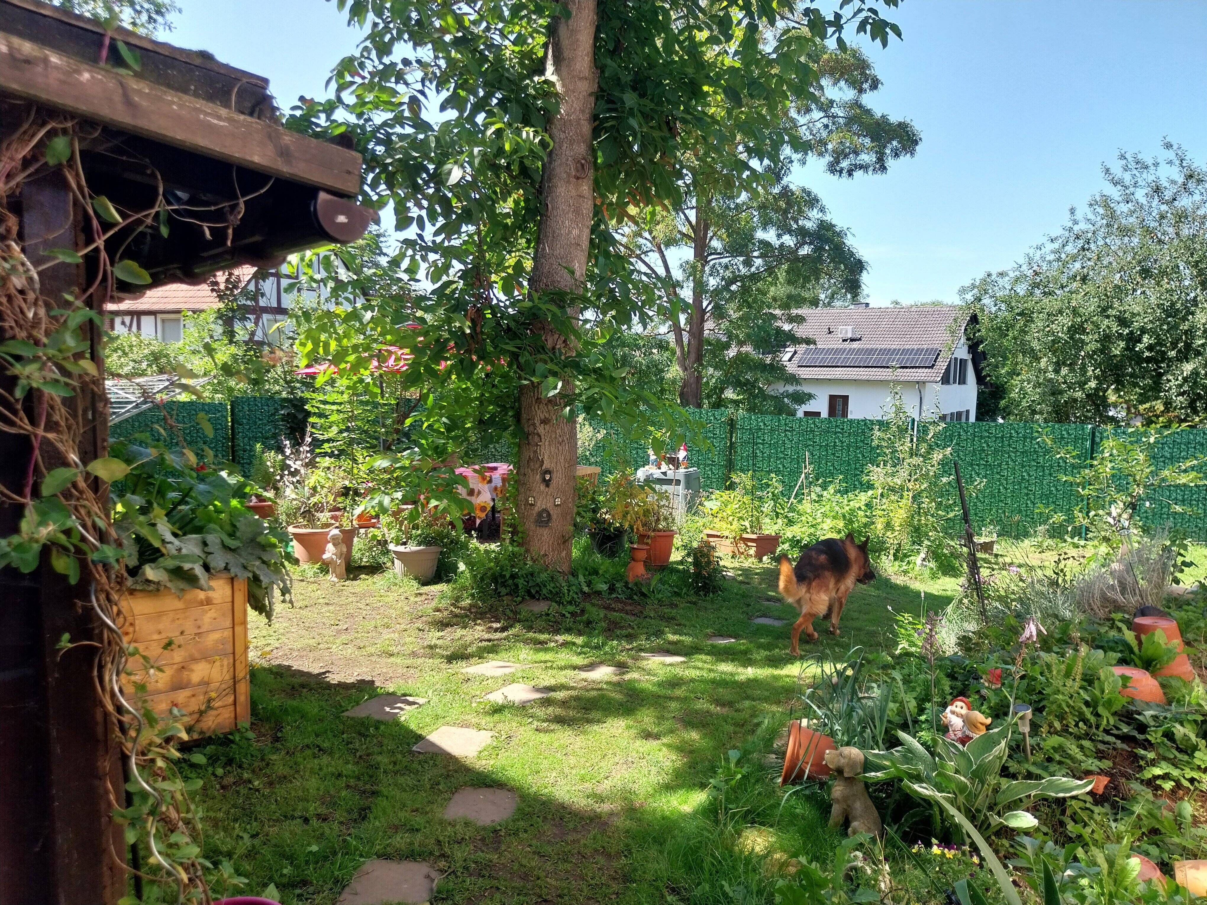 Bild 10