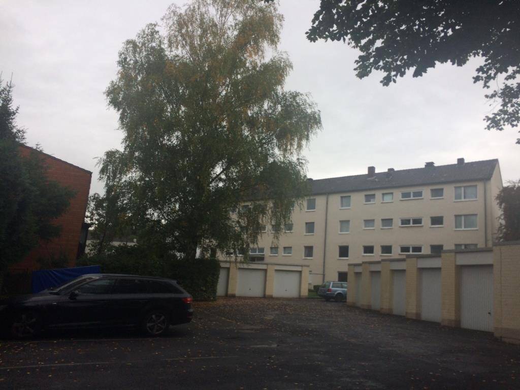 image-65367269