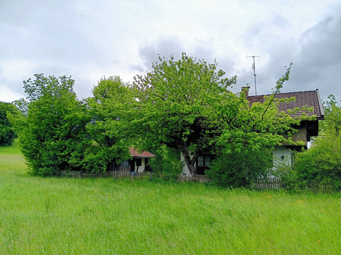 Bild 7