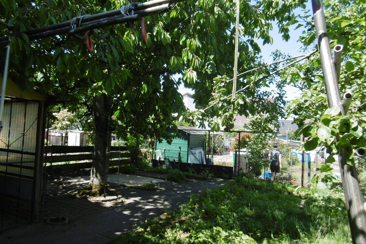 Bild 4