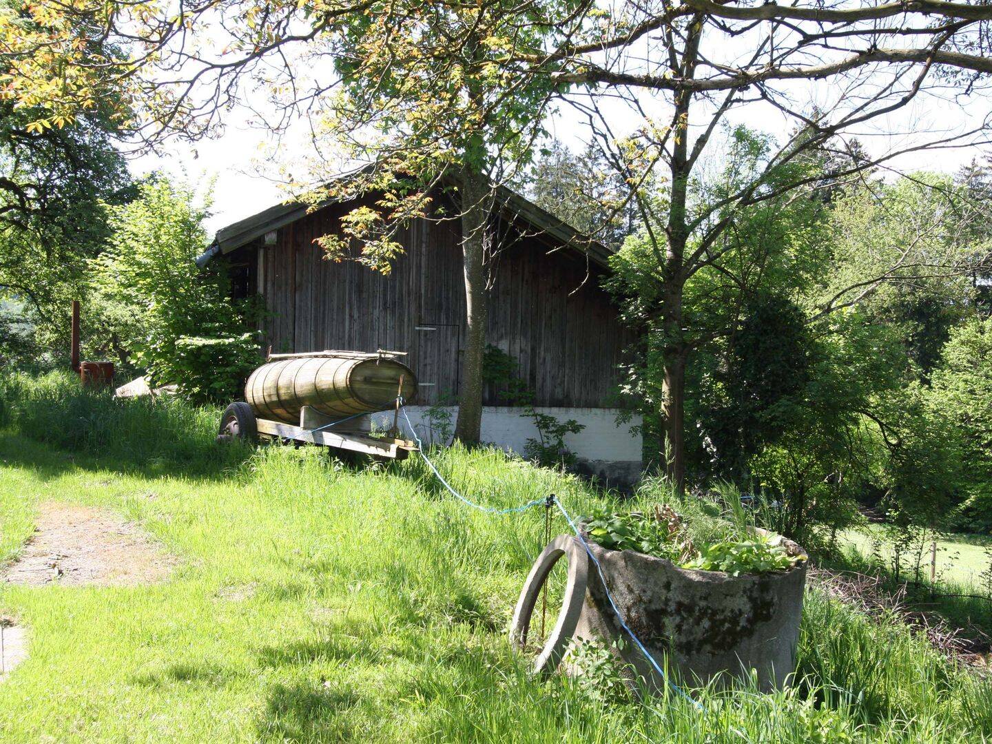 Bild 5