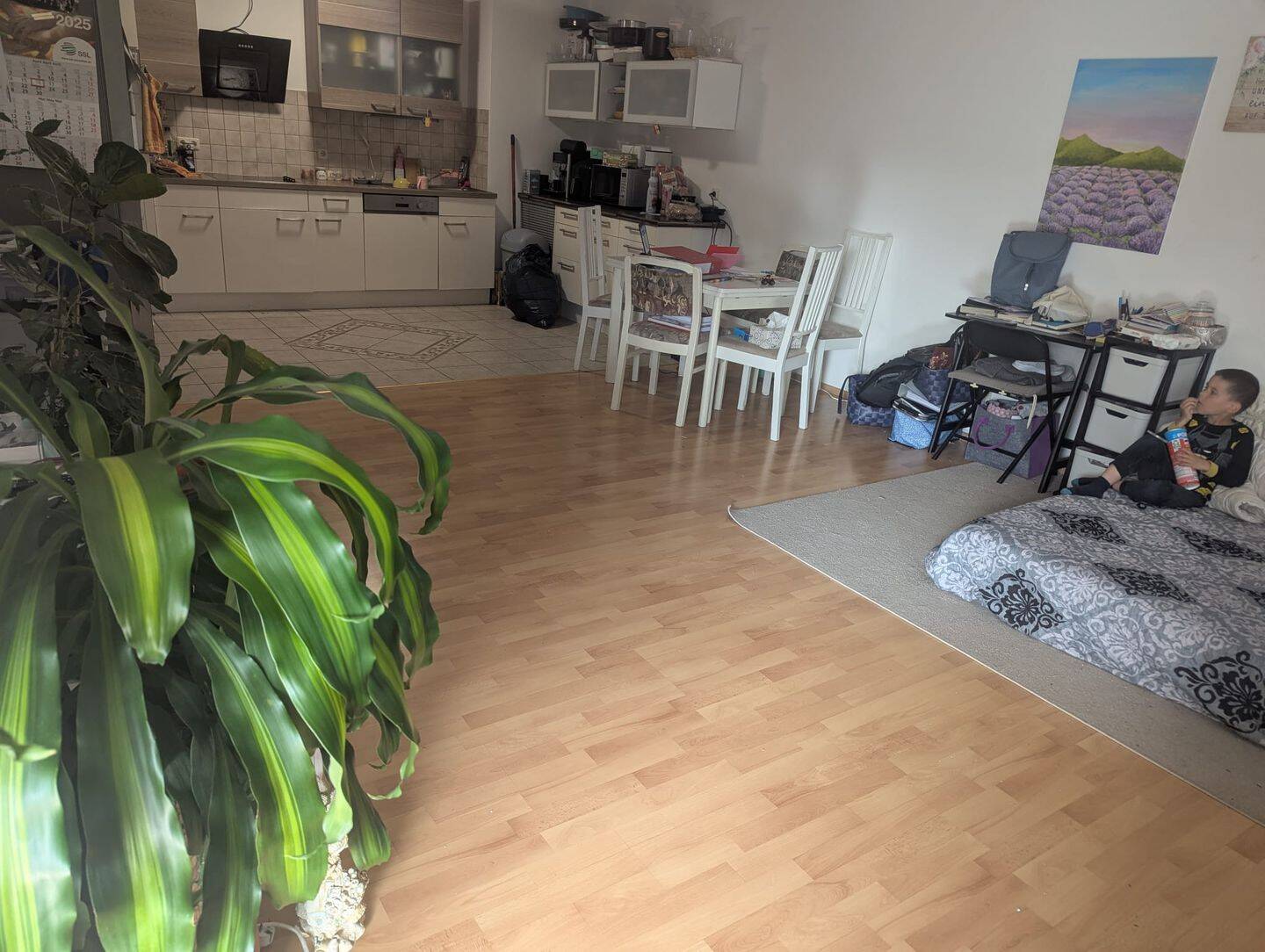 Bild 5