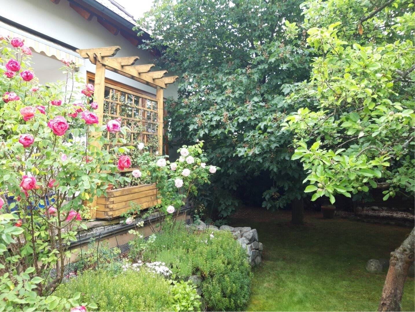 image-65421502