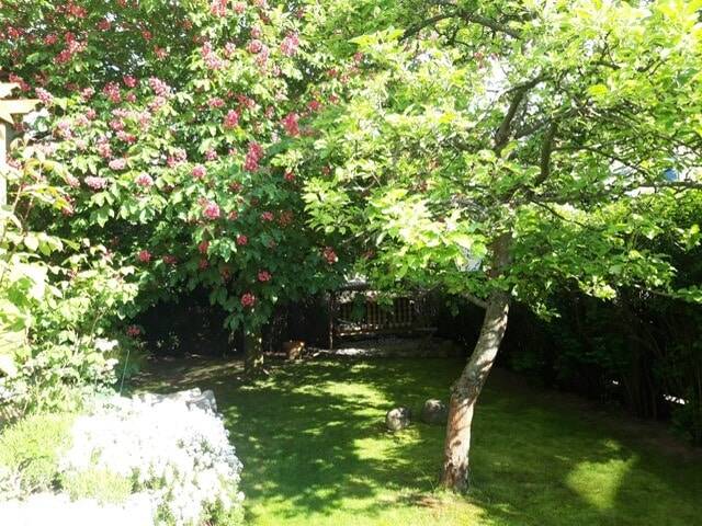 Bild 9