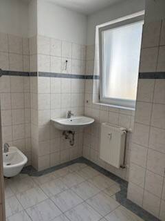 image-65428178