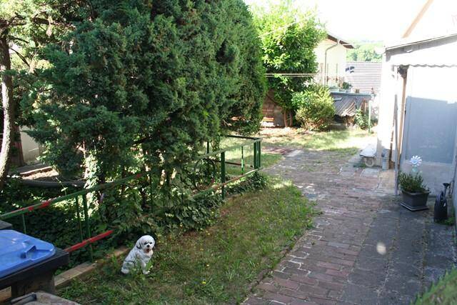 Bild 7