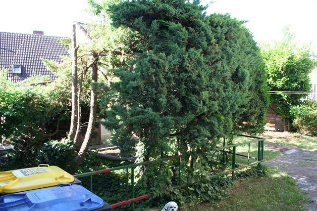Bild 8