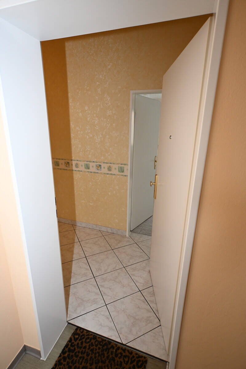 image-65434653