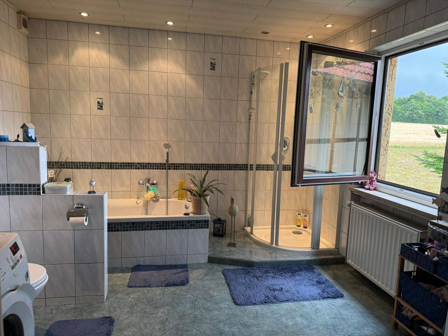 Bild 7